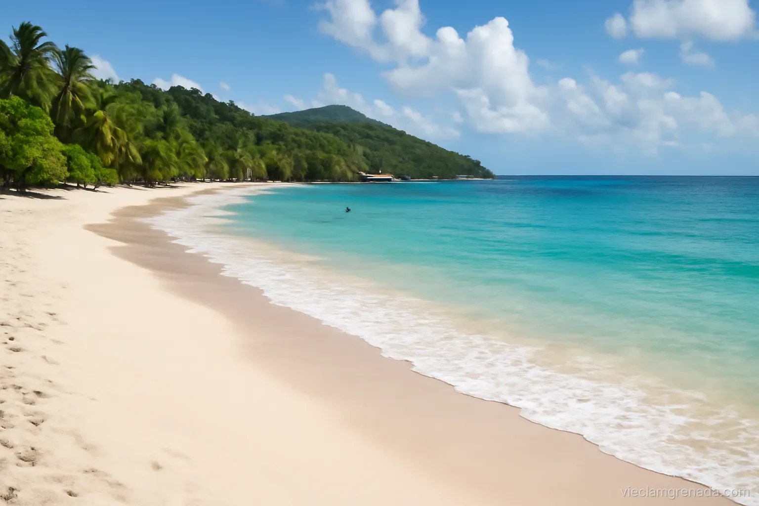 Làm việc từ xa tại Grenada